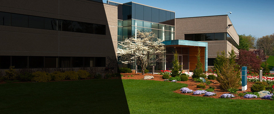 Tuxedo Park Landscapers