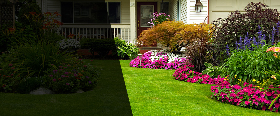 Tuxedo Park Landscapers