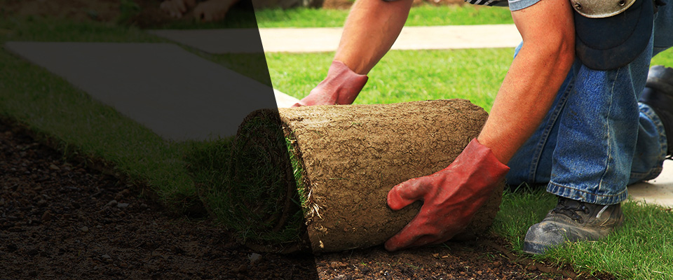 Tuxedo Park Landscapers